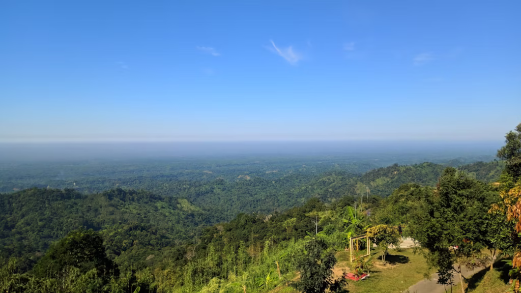 Green View Homestay